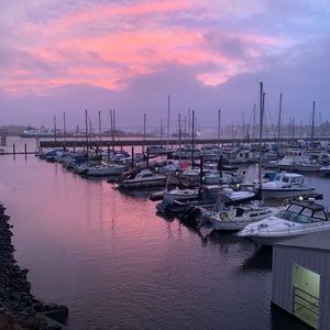 Meet your Posher, Amelia